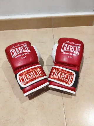 Guantes de Boxeo Charlie 6 oz
