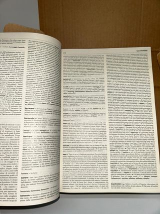 Dizionario Italiano Ragionato con Cofanetto