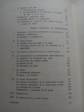 El desarrollo social del niño y del adolescente