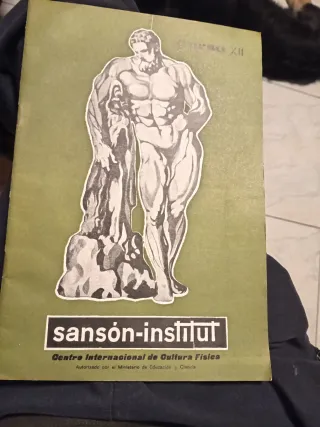 Fasciculos Sansón Institut