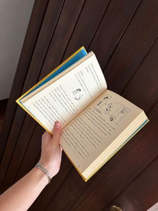 Pack de tres libros del DIARIO DE GREG.