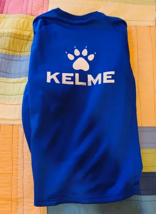 Camiseta Alavés Talla S Azul Kelme