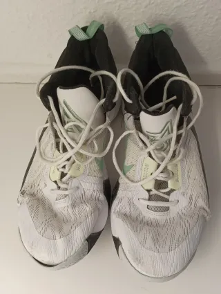 Nike Giannis Immortality 2 Zapatillas