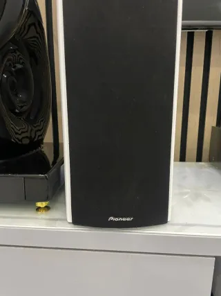 Altavoces Pioneer Negros y Blancos