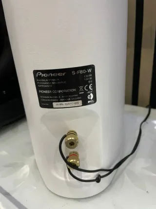 Altavoces Pioneer Negros y Blancos