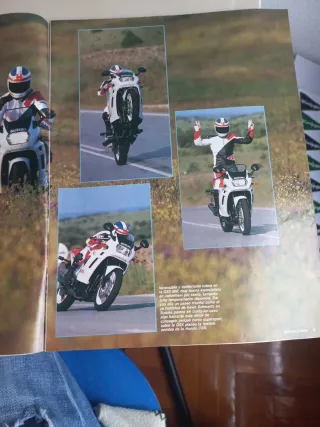 Suzuki GSX600F,  Fantic 303 S2