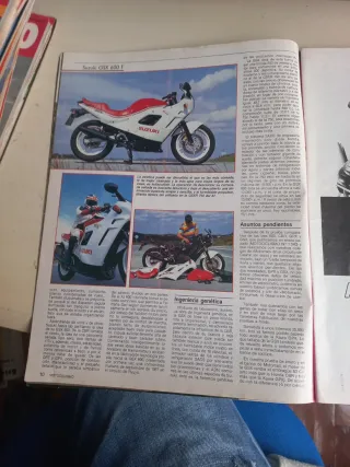 Suzuki GSX600F,  Fantic 303 S2