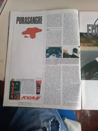 Suzuki GSX600F,  Fantic 303 S2