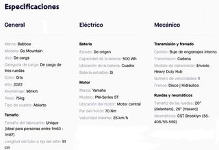 Babboe Go Mountain Eléctrica