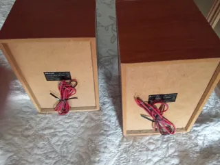 Altavoces Sanyo Marrones y Negros