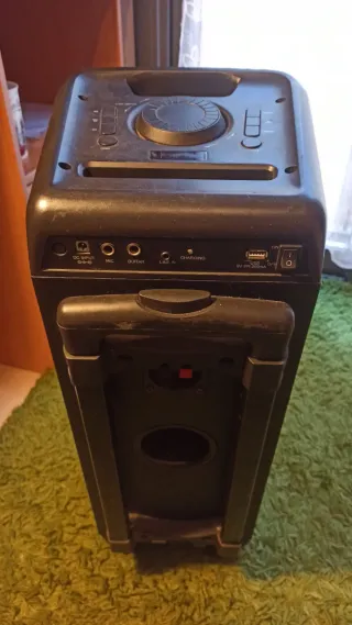 Altavoz Portátil NGS Wildrave 300W ESCUCHO OFERTAS