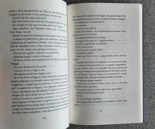 Libro: Els desperfectes - Irene Pujadas