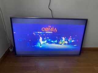 Televisor Panasonic Negro y Plata