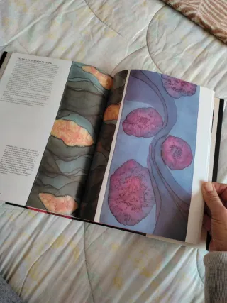 El Gran Libro de la Pintura Sobre Seda