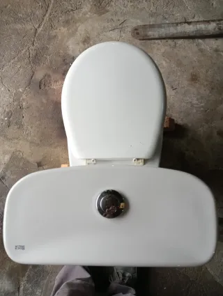 Inodoro Roca Victoria Blanco