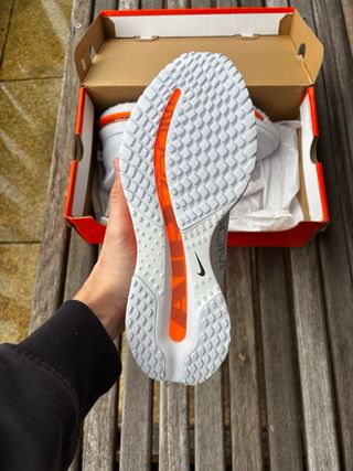 Nike Pegasus Premium Airscape