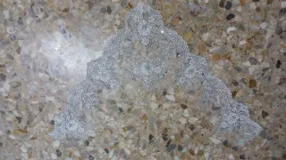 Manteletas Fallera Niña