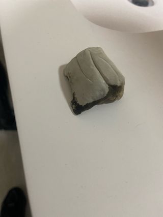 Piedra decorativa Seat