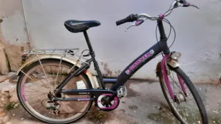 Bicicleta Mujer Carver