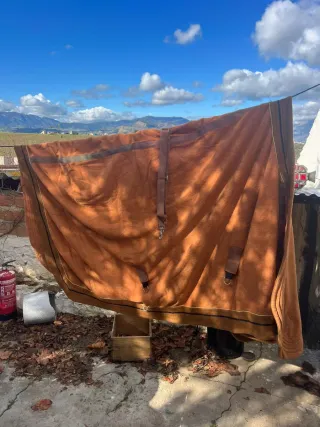 Mantas polares para caballos (2 unidades)