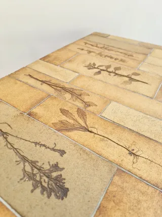 Mesa centro ROGER CAPRON. Francia, 60s.