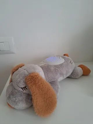 Buddy Sogni D'oro proiettore