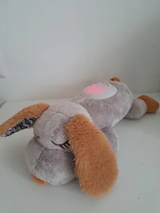 Buddy Sogni D'oro proiettore