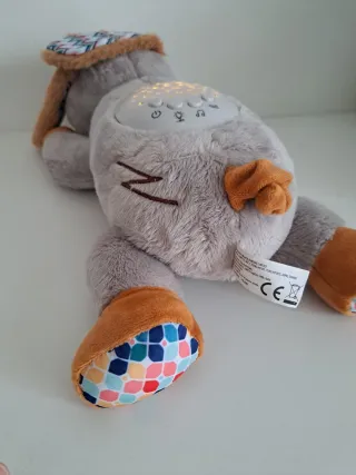 Buddy Sogni D'oro proiettore