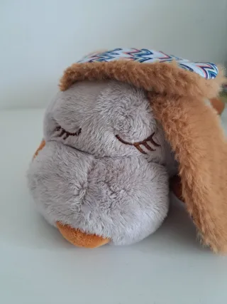 Buddy Sogni D'oro proiettore