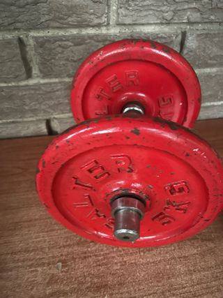 Mancuernas 2 discos 5 kg