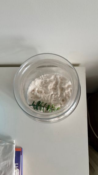 Jarrón Cristal Transparente con Flores Naranja