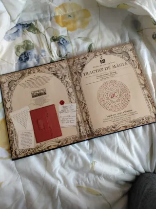 Tractat de màgia. El llibre dels secrets d'en Merl