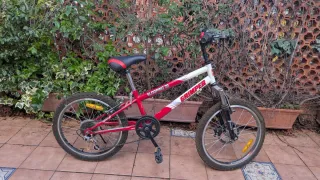 Bicicleta GRIPER SLOOPING 20 Roja