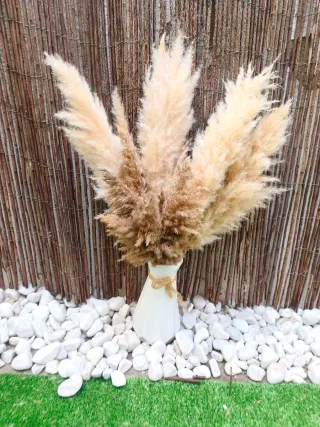 Pampas Nube Beige y Marrón