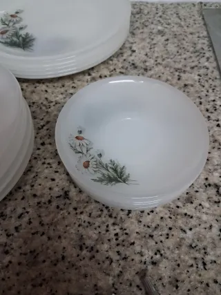 15 Platos Arcopal Margaritas PARA SONIA