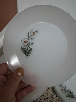 15 Platos Arcopal Margaritas PARA SONIA