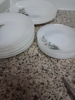 15 Platos Arcopal Margaritas PARA SONIA