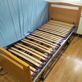 Cama Ortopédica Eléctrica