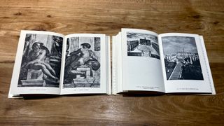 Michelangelo. Tutta la pittura - Architettura.