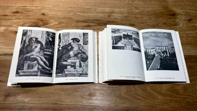 Michelangelo. Tutta la pittura - Architettura.