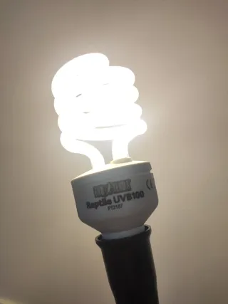 Filtro, calentador y bombilla para acuaterrario