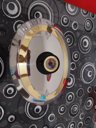 Pentola Ovale con coperchio Oro Argento Inox18/10