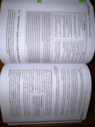 La Dirección Estratégica de la Empresa. Teoría ...