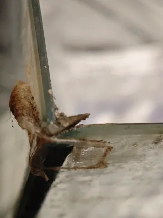 Nano acuario 20L segunda mano