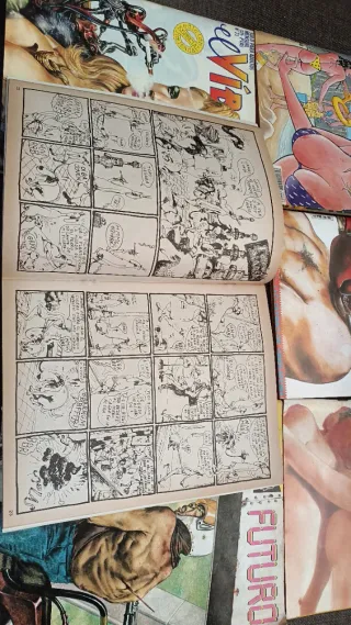 Lote de cómics el vivora