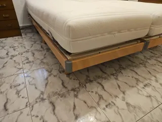 Cama geriátrica articulada doble