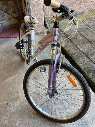 Bicicleta junior morada y blanca rueda de 26’