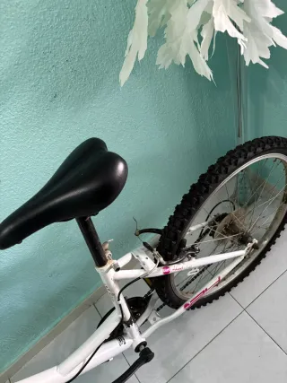 Bicicleta blanca y rosa 50€