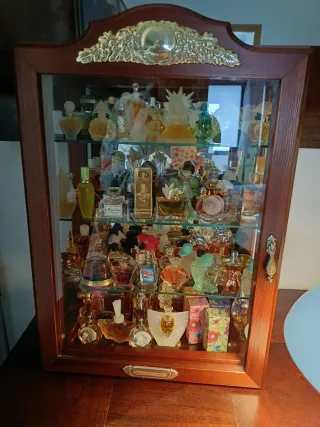 Vitrina expositora colecciones madera y cristal