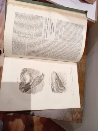 Libro Los Tres Reinos De La Naturaleza tomo 3